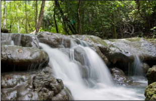 Sa Nang Manora Forest Park