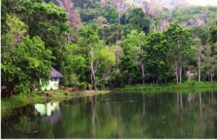 The Khao Phra Thaeo Wildlife Sanctuary.